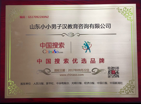 中國搜索優(yōu)選品牌